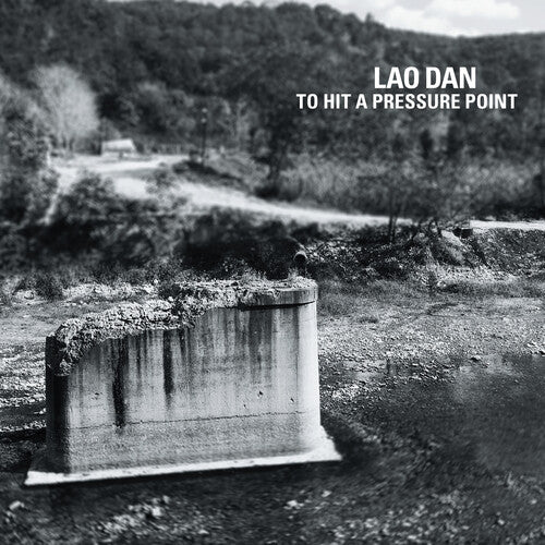 Lao Dan - To Hit A Pressure Point