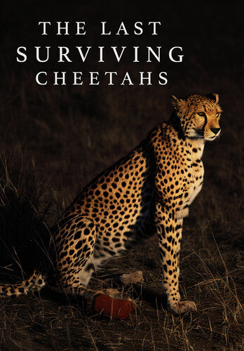 Last Surviving Cheetahs / (Mod)