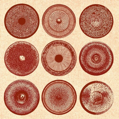 Ensemble Nist-Nah - Spilla