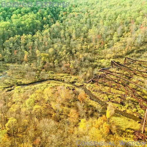 Bendigo Fletcher - Consensual Wisdom - Beige