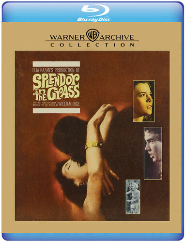 Splendor in Grass (1961)