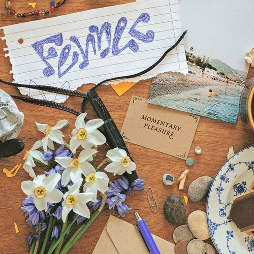 Fennec - Momentary Pleasure