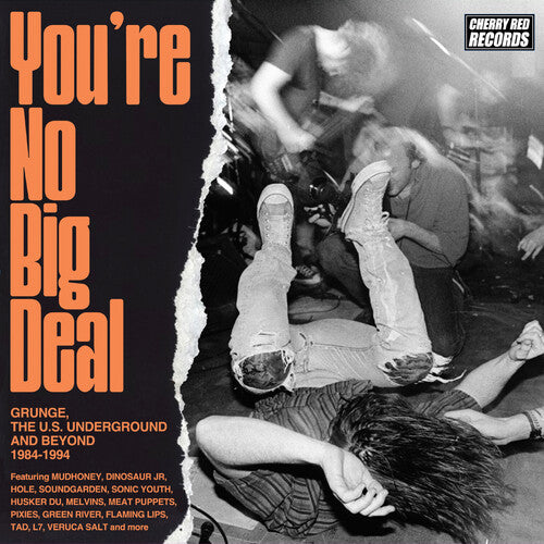 You're No Big Deal: Grunge Us Underground & Beyond - You're No Big Deal: Grunge, The U.S. Underground & Beyond 1984-1994 / Various