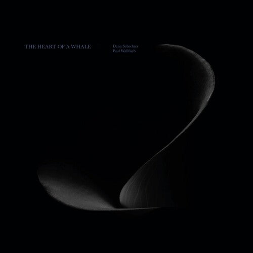 Dana Schechter / Paul Wallfisch - The Heart Of A Whale