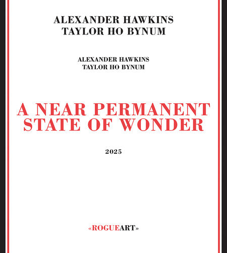Alexander Hawkins / Taylor Bynum Ho - Near Permanent State Of Wonder