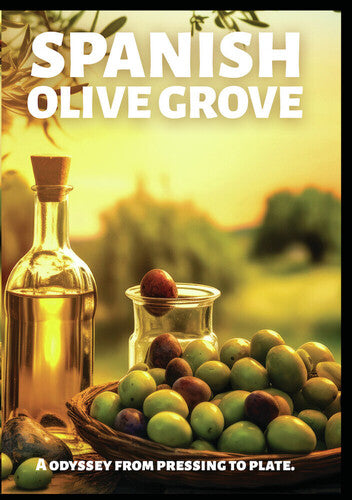 Spanish Olive Grove