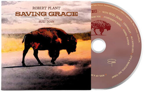 Robert Plant - Saving Grace