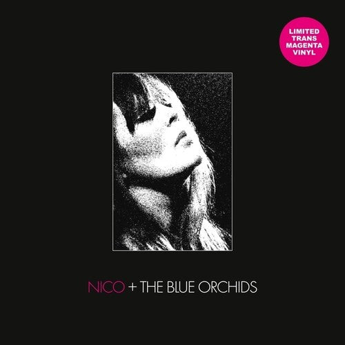 Nico/ Blue Orchids - Live And In Session 1982