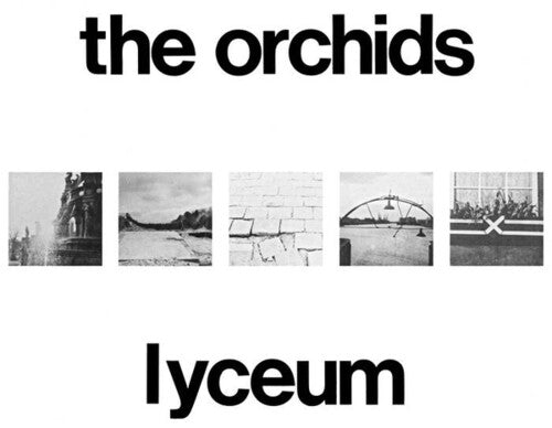 The Orchids - Lyceum