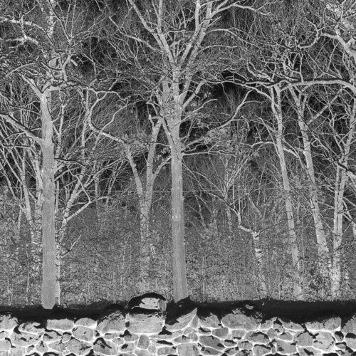 Pile - Sunshine & Balance Beams - Purple