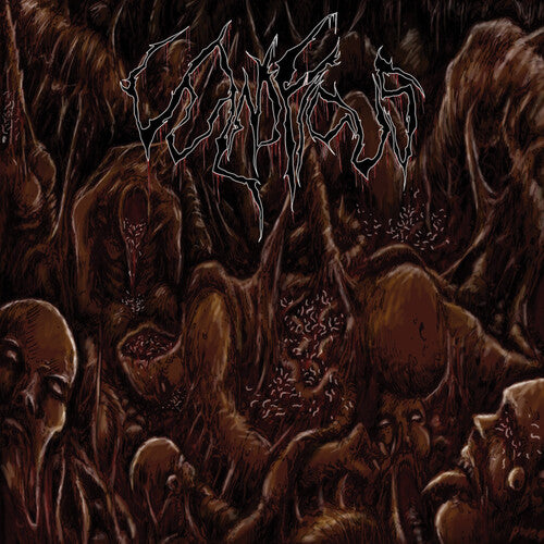Vulnificus - Inclination