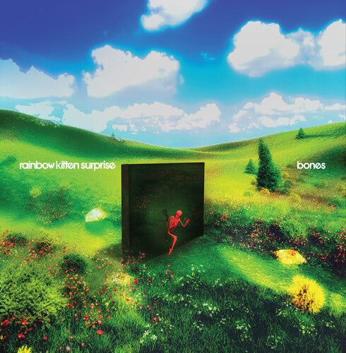 Rainbow Kitten Surprise - bones (Black Vinyl)