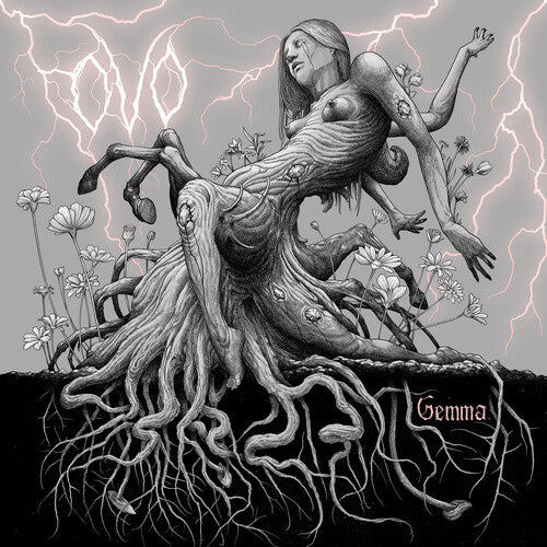 OvO - Gemma