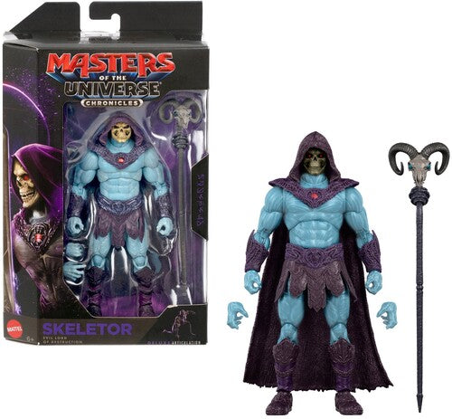Masters of the Universe Chronicles Skeletor Action Figure (He-Man, MOTU)