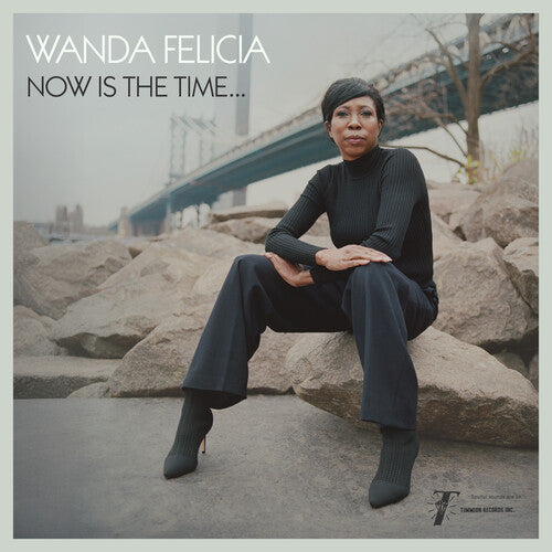 Wanda Felicia/ Cold Diamond & Mink - Now Is the Time