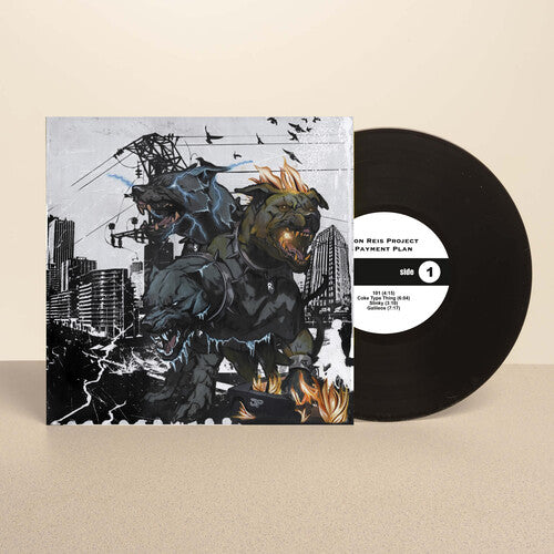 Son Reis Project - Payment Plan