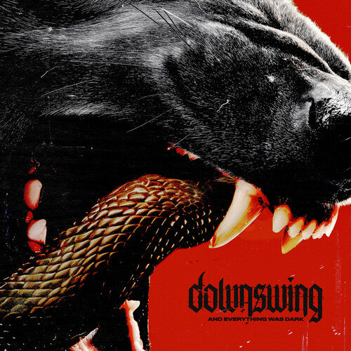 Downswing - And Everything Was Dark
