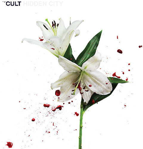 Cult - Hidden City