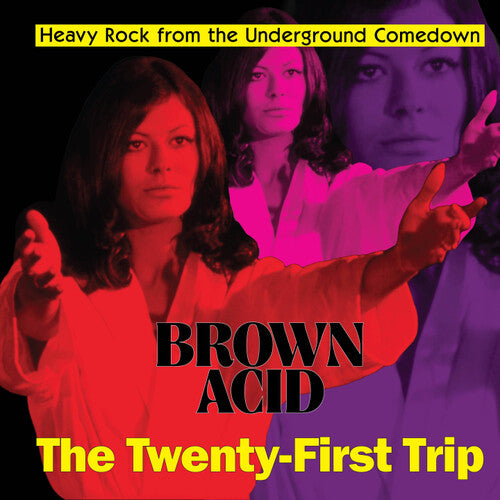Various Artists - Brown Acid - The Twenty-first Trip (Various Artists)