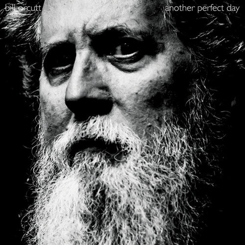 Bill Orcutt - Another Perfect Day