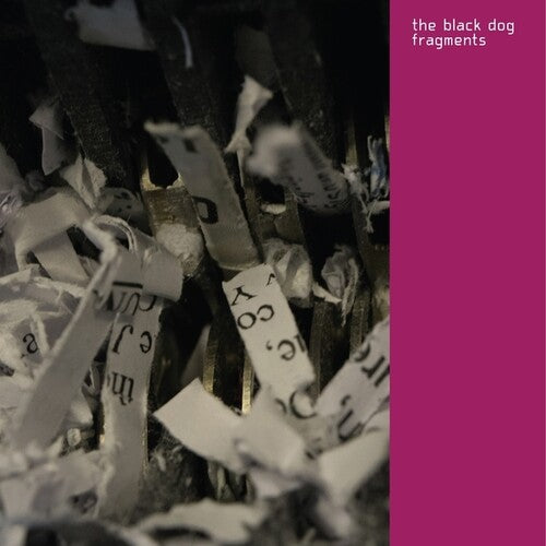 Black Dog - Fragments