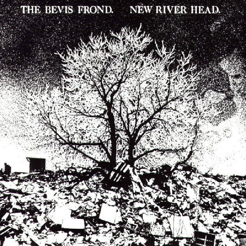 Bevis Frond - New River Head