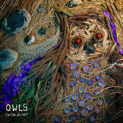 The Owls - Rare Birds