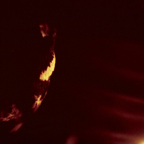 Skepticism - Stormcrowfleet