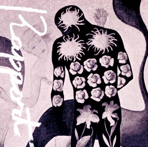 Yusei Takahashi - Rapport