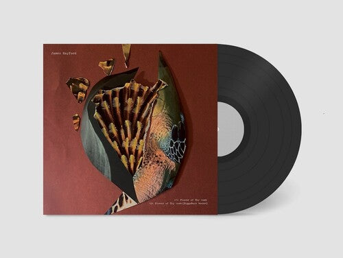 James Hayford - Split