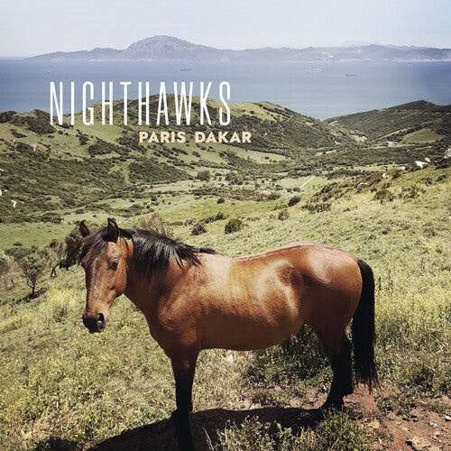 Nighthawks - Paris Dakar