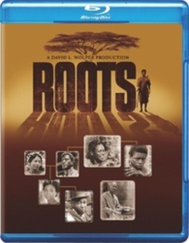 Roots