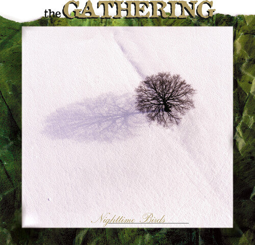 Gathering - Nighttime Birds