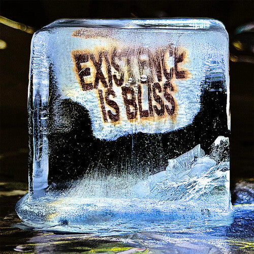 Deadletter - Existence Is Bliss - Autographed Transparent Glitter Colored Vinyl