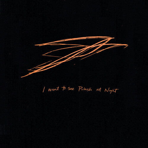 Andrew Bird - I Want To See Pulaski At Night