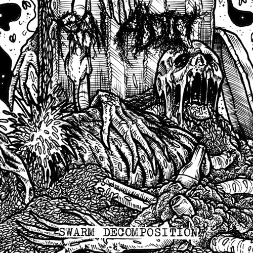 Raw Addict - Swarm Decomposition