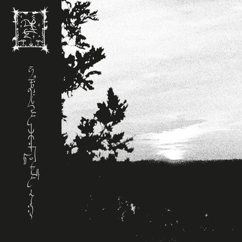 Trha - Fumadaejja Cavvaj