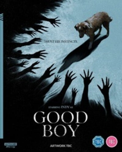 Good Boy - All-Region UHD