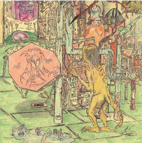Wiccans - Phase IV