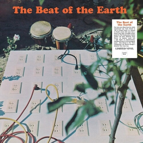 Beat of the Earth - The Beat Of The Earth