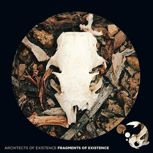 Architects of Existence - Fragments Of Existence
