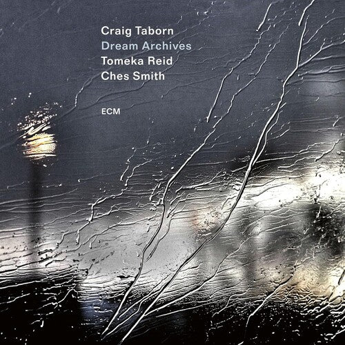 Craig Taborn / Tomeka Reid / Ches Smith - Dream Archives