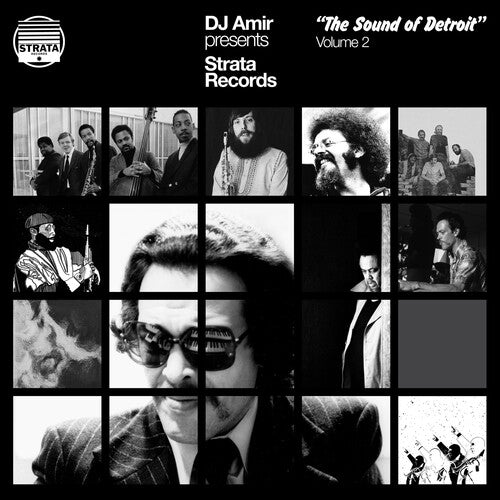 DJ Amir - Dj Amir Presents Strata Records: The Sound Of Detroit Vol. 2