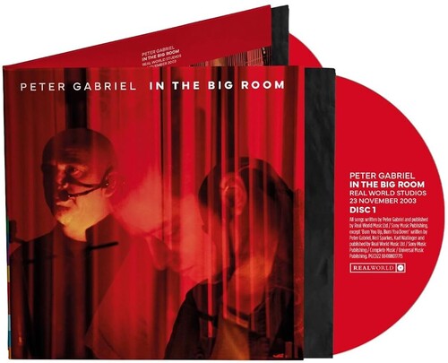 Peter Gabriel - In The Big Room