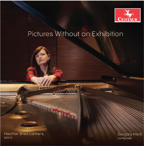Heather Lanners - Pictures without an Exhibition