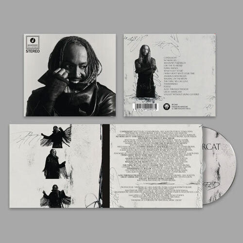 Thundercat - Distracted