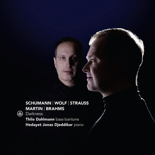 Thilo Dahlmann - Darkness