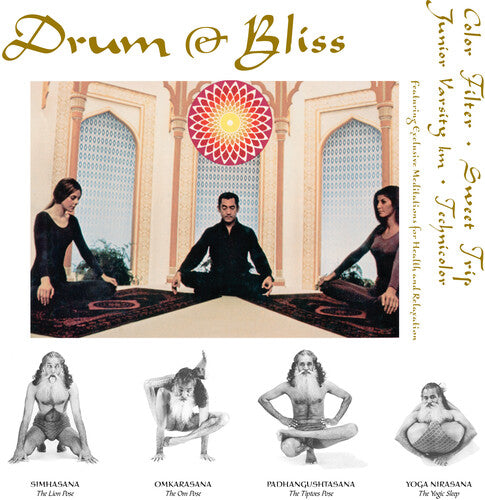 Drum & Bliss/ Various - Drum & Bliss (Various Artists)