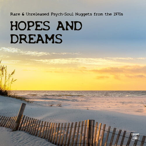 Hopes & Dreams: Rare & Unreleased Psych-Soul/ Var - Hopes And Dreams: Rare & Unreleased Psych-Soul Nuggets from the 1970s
