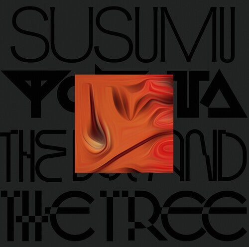 Susumu Yokota - The Boy And The Tree - Skintone